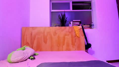 Snapshot of petitee_lunna chatting on 01.15.25 Lunna online show from 01.15.25