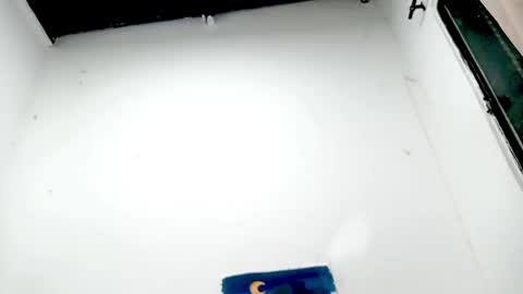 danna online show from 11.26.25