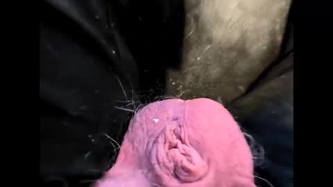 Snapshot of petrol63102 chatting on 02.20.26 petrol63102 online show from 02.20.26