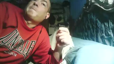 pets76 online show from 03.01.26