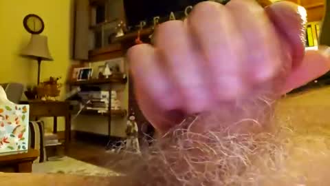 Phil online show from 12.17.24