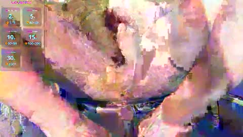 Snapshot of phil_up chatting on 01.11.26 phil_up online show from 01.11.26