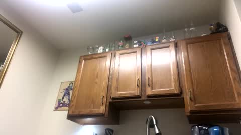 Phil online show from 02.02.25