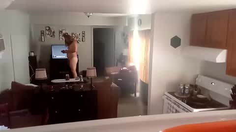 Snapshot of phinfan35276 chatting on 02.23.25 Phinfan online show from 02.23.25