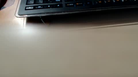 Snapshot of pier49x chatting on 12.04.24 pier49x online show from 12.04.24