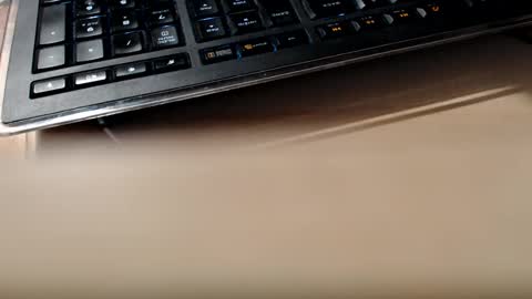 Snapshot of pier49x chatting on 02.13.25 pier49x online show from 02.13.25