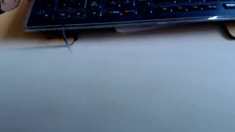 pier49x online show from 04.18.26