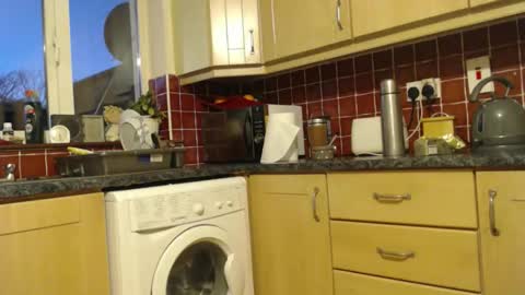 piercedcock069 online show from 01.13.26