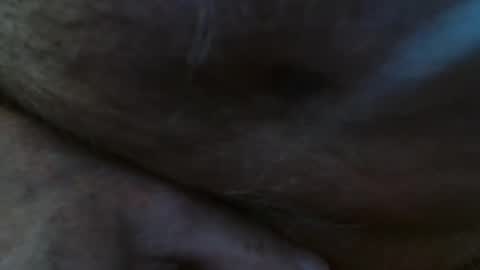 Pit online show from 02.23.25