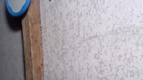 Snapshot of pinay_yummy28 chatting on 12.02.24 pinay_yummy28 online show from 12.02.24