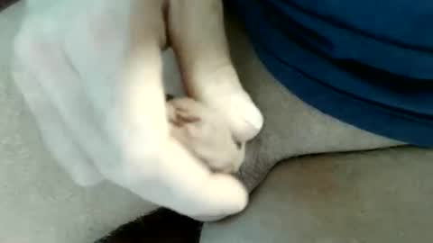 pippo online show from 05.31.26