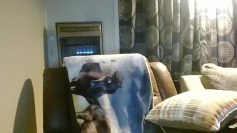 pirate334 online show from 01.07.26