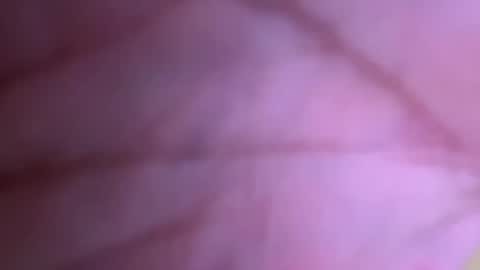 Snapshot of pistolpete9891 chatting on 01.25.25 pistolpete9891 online show from 01.25.25