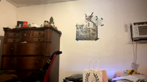 playerboybunny online show from 04.28.26