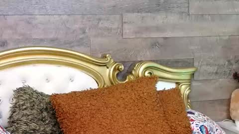 PlayfulSamy online show from 01.13.25