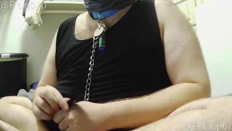 PlugPup online show from 12.21.25