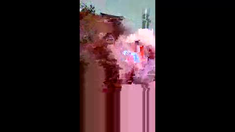 Snapshot of plumber336652 chatting on 05.31.26 plumber336652 online show from 05.31.26