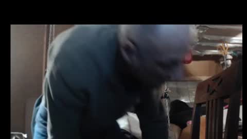 Snapshot of plumerialba chatting on 02.02.25 Plumerialba online show from 02.02.25