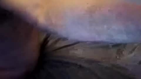 Andrew online show from 04.01.26