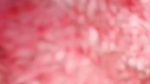 pocahontasdoll95 online show from 05.14.26