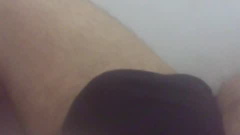 pol2023 online show from 02.08.26