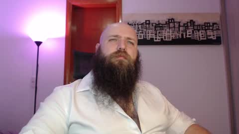 Bear online show from 03.11.25