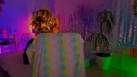 Martha online show from 02.09.26