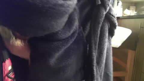 polle15 online show from 02.23.25