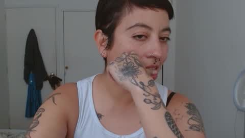 Poly online show from 10.02.25