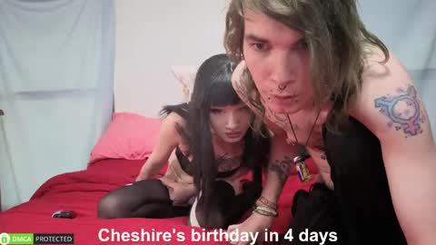 Cheshire  Bee online show from 06.05.26