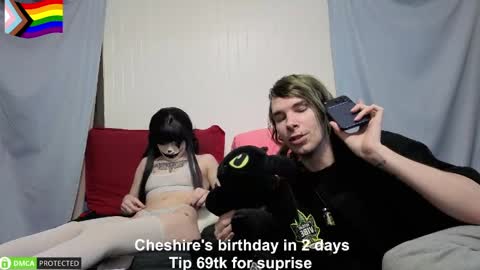 Cheshire  Bee online show from 06.08.26