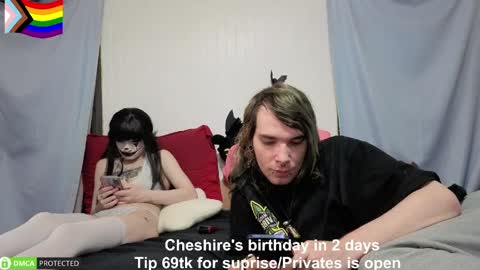 Cheshire  Bee online show from 06.08.26