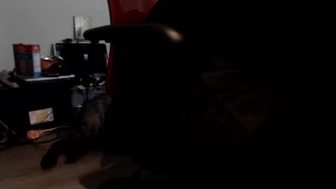 Snapshot of porkypork chatting on 09.09.25 porkdaddy online show from 09.09.25