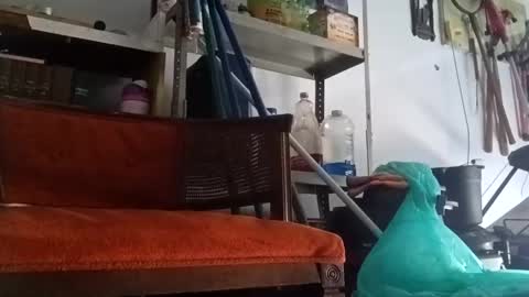 PipeLayerPlayer007 online show from 09.14.25