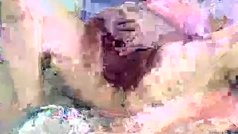 dikud0wn online show from 09.14.25