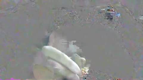 ppsmall_17 online show from 10.17.25