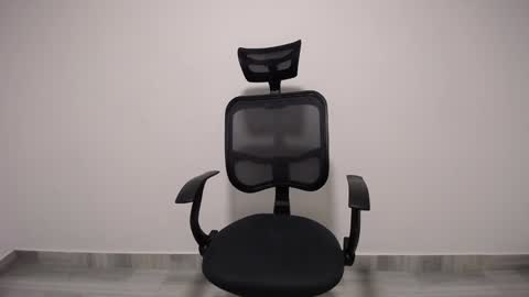 Plux online show from 12.08.24