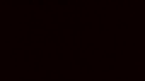 Rose online show from 03.02.26