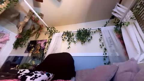 Snapshot of prettyblackgal chatting on 11.27.25 prettyblackgal online show from 11.27.25