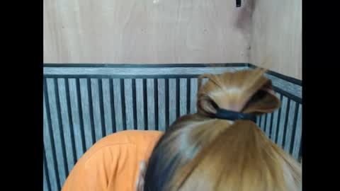 Kate online show from 11.07.25