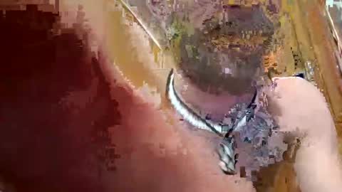 prettysolidd7 online show from 12.02.24