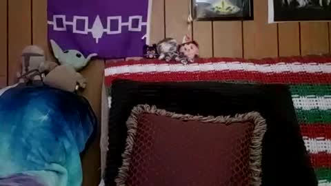 prettysolidd7 online show from 01.04.25