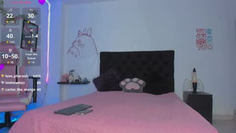 Snapshot of princessryuuko chatting on 05.12.26 ryuu online show from 05.12.26