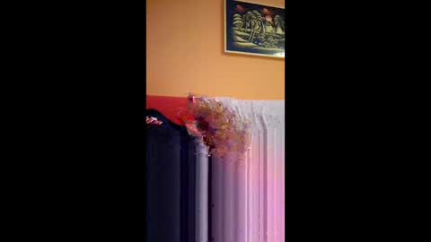 principino70 online show from 06.04.26