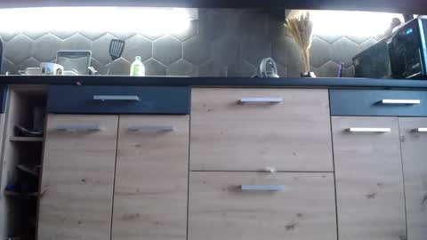 Space online show from 03.30.26