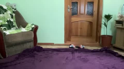 proud sweet 21 online show from 09.08.25