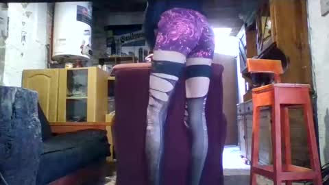 Ar Lily online show from 02.24.25