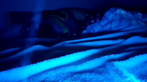 ptut82 online show from 02.15.26