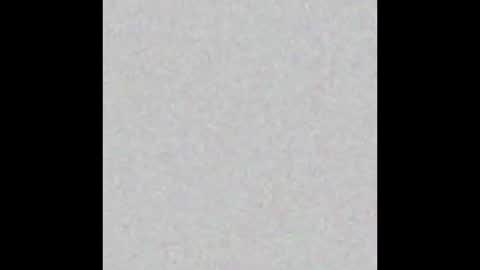 Timmy online show from 10.31.25