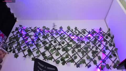 Snapshot of pucaa_ chatting on 01.24.25 Emma Rico model indep online show from 01.24.25